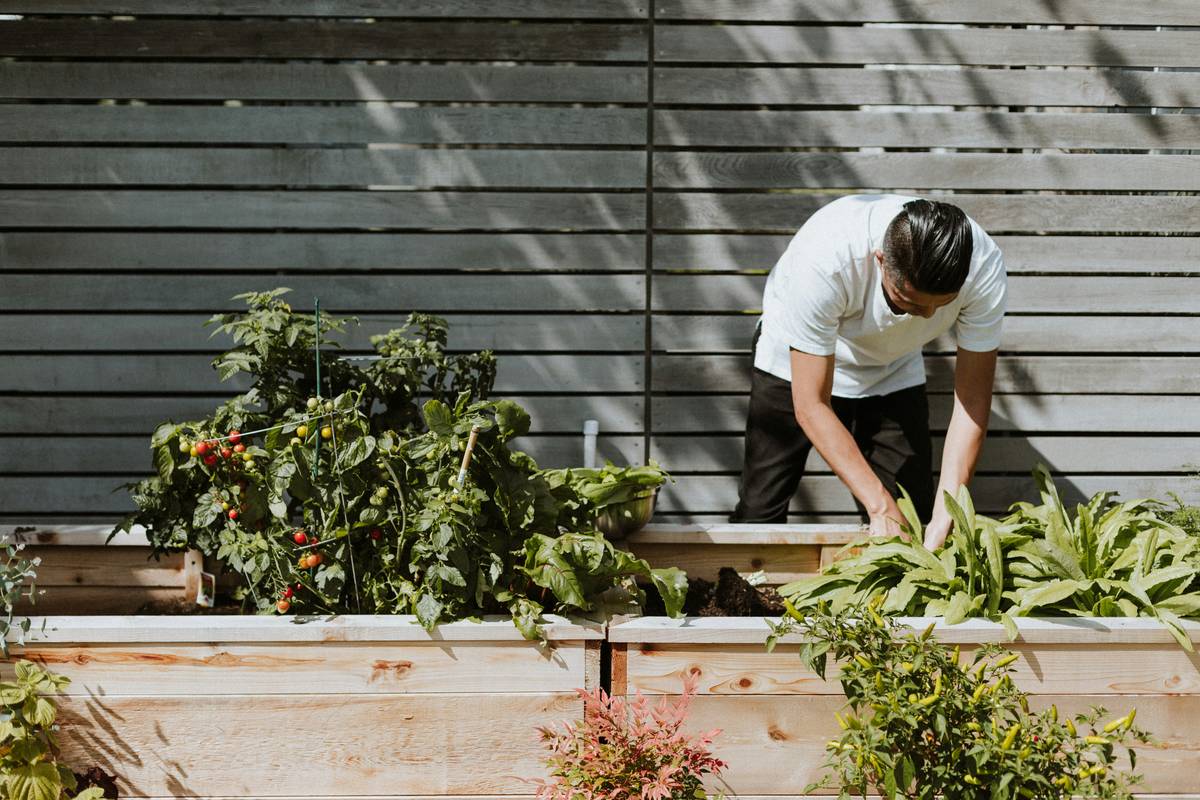 how to garden easy: a sturdy teak garden table surrounded by potted herbs and morning sunlight