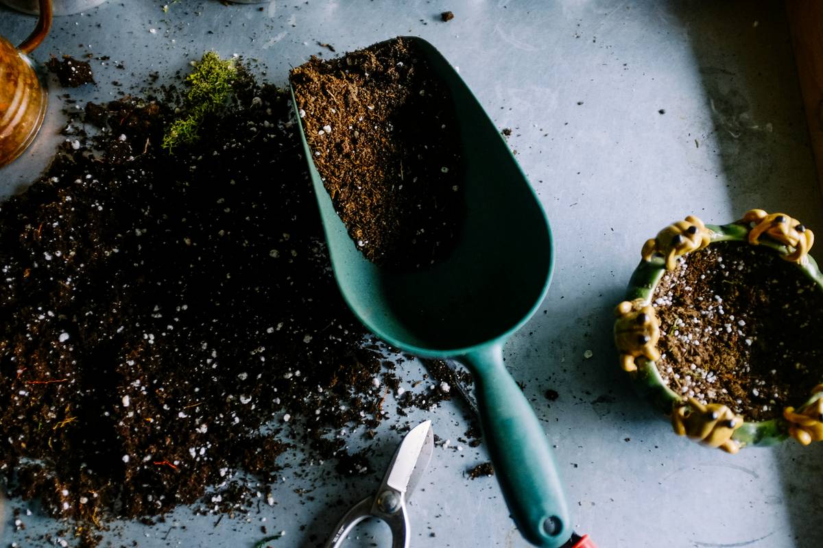 How to Do Your Garden: 7 Proven Tips to Avoid Costly Mistakes