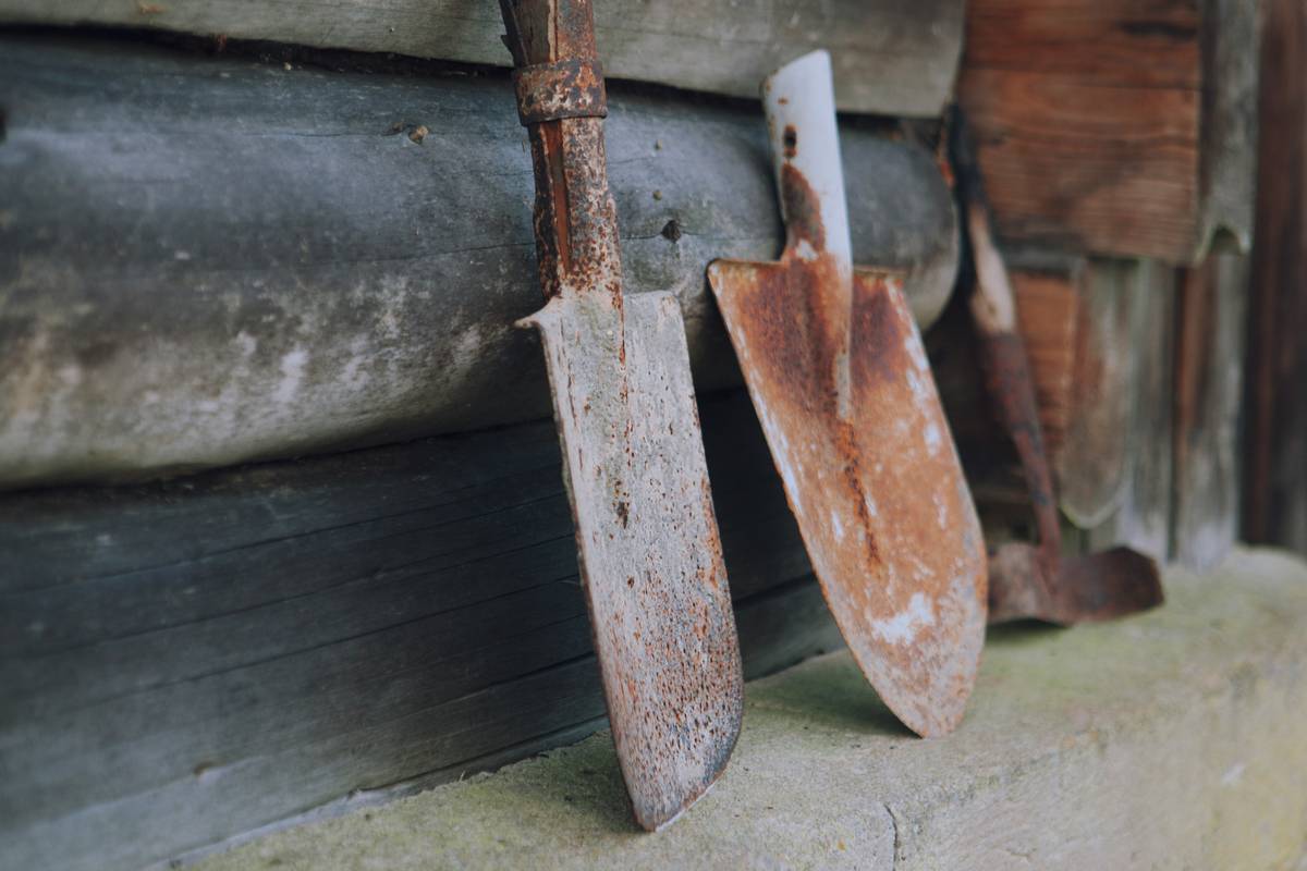 How to Garden Easy: 7 Proven Tips to Avoid Costly Mistakes