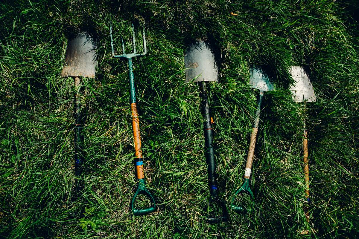 How to Put in a Garden: 7 Proven Tips to Avoid Costly Mistakes