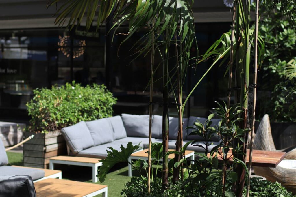 Modern Garden Ideas for Small Gardens
