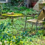 Easy Garden Design Ideas: 7 Proven Ways to Avoid Costly Outdoor Mistakes
