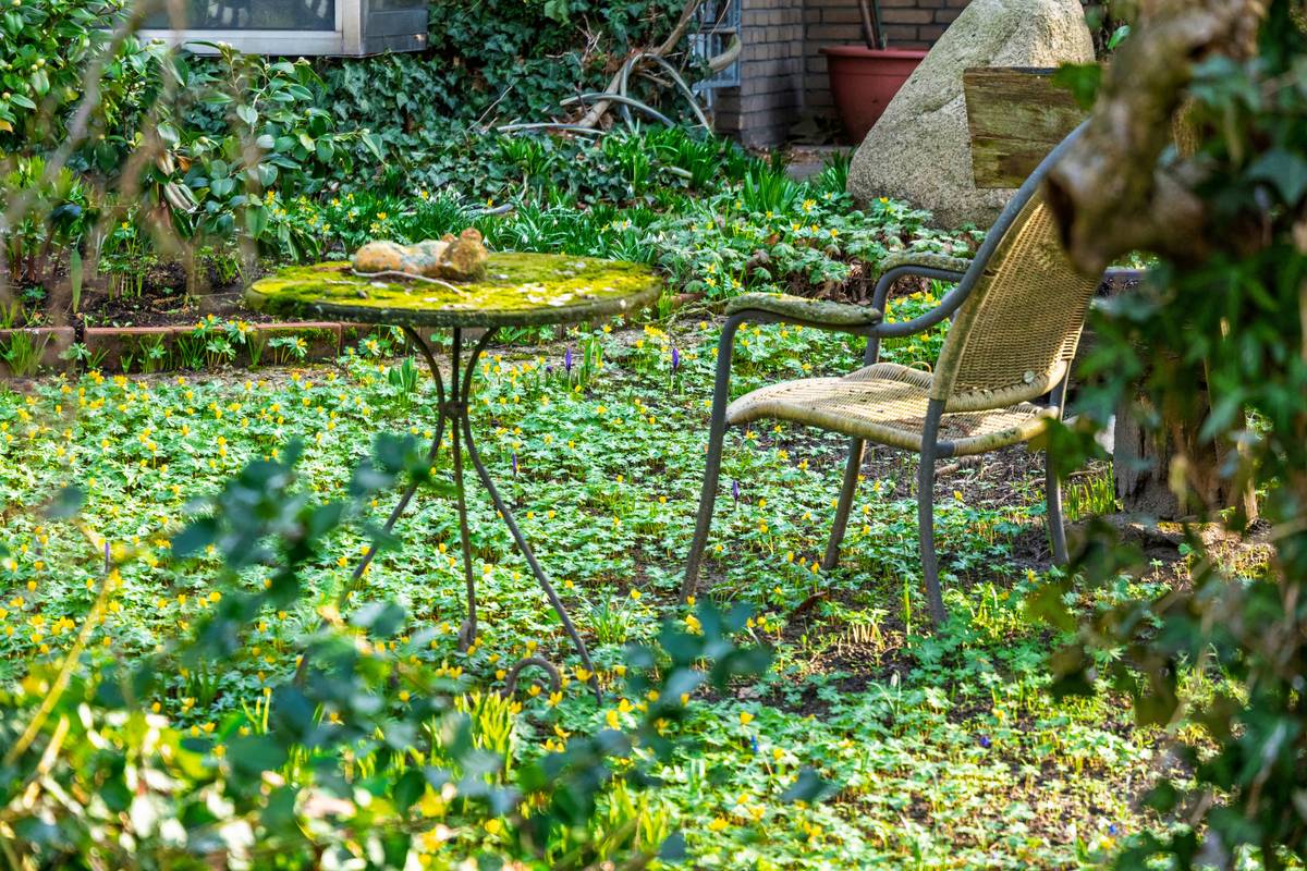 Easy Garden Design Ideas: 7 Proven Ways to Avoid Costly Outdoor Mistakes