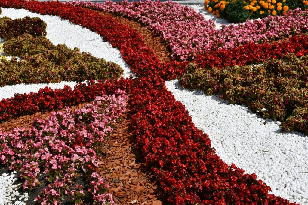 Easy Garden Designs for Beginners: 7 Proven Tips to Avoid Costly Mistakes