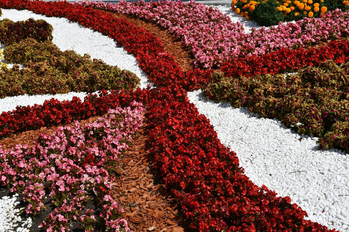 Easy Garden Designs for Beginners: 7 Proven Tips to Avoid Costly Mistakes