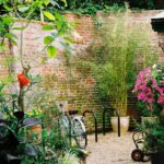 Garden Ideas for Long Gardens: 7 Proven Tips to Avoid Costly Mistakes