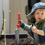 How to Garden for Beginners: 7 Proven Tips to Avoid Costly Mistakes
