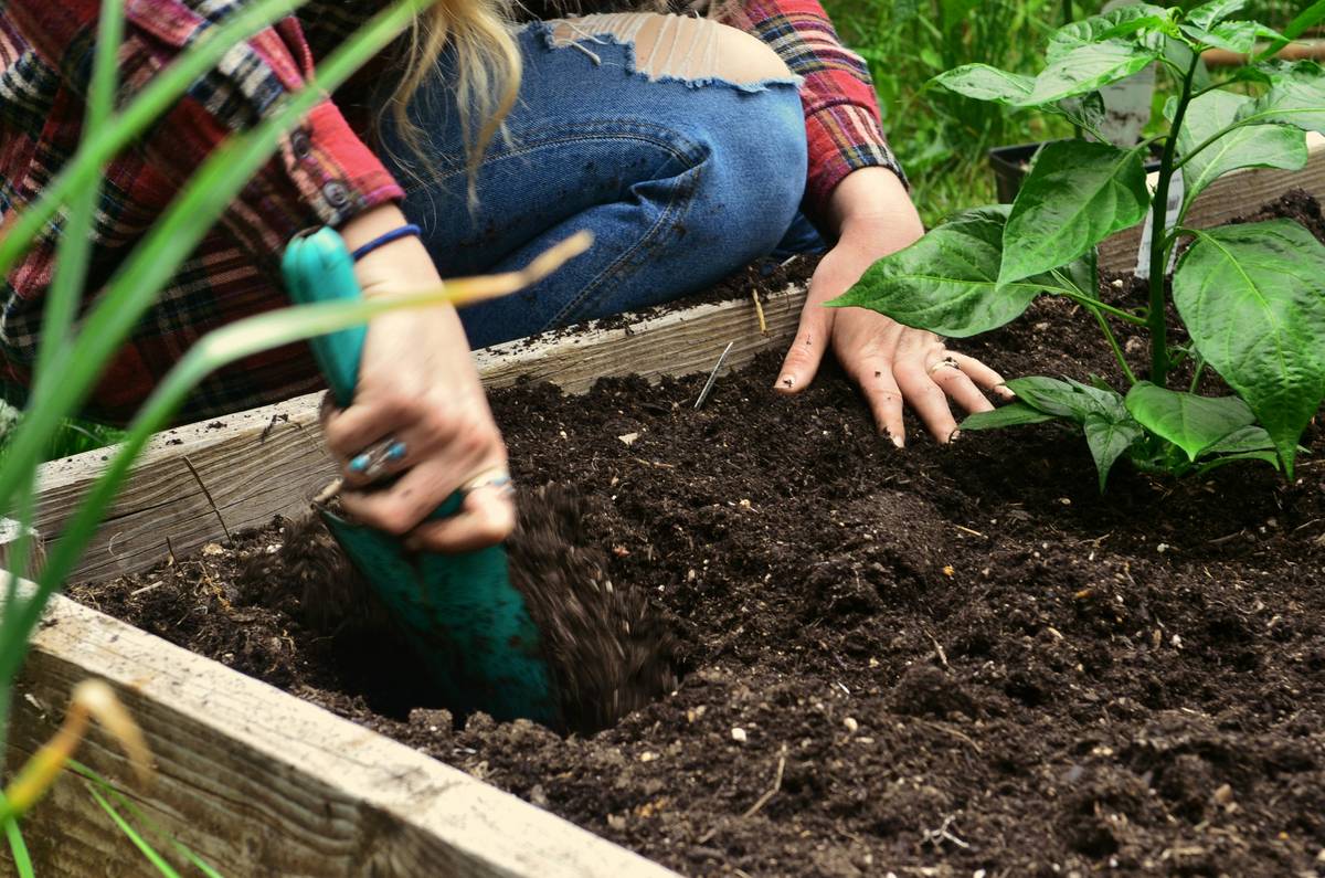 How to Make a Garden: 7 Proven Tips to Avoid Costly Mistakes