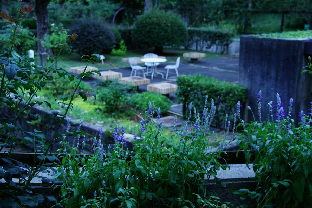 how to garden design with a teak garden table surrounded by potted herbs and string lights