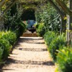 Modern Garden Ideas UK: 7 Proven Tips to Avoid Costly Mistakes