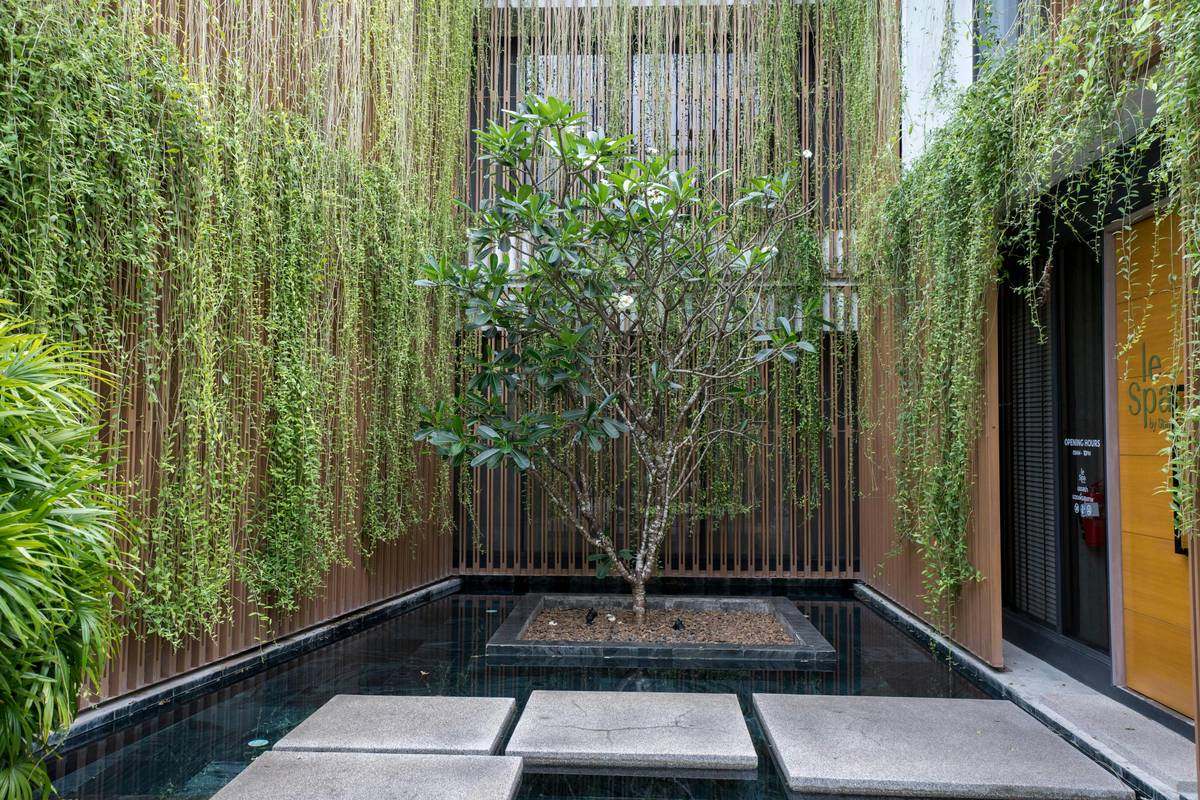 Small Modern Garden Ideas: 7 Proven Tips to Avoid Costly Mistakes