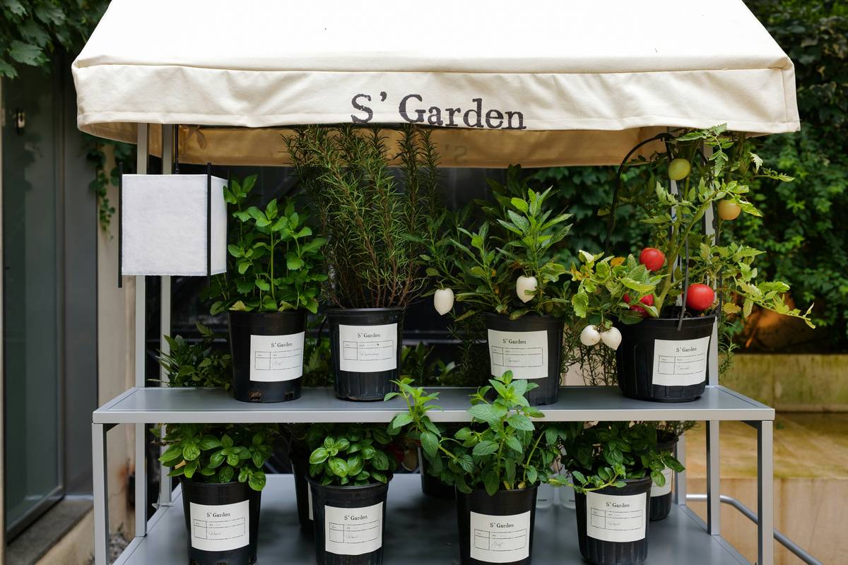 Starting a Garden Ideas: 7 Proven Tips to Avoid Costly Mistakes