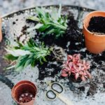 Fairy Garden Table Centerpiece Ideas: 7 Proven Ways to Create an Easy, Enchanting Focal Point