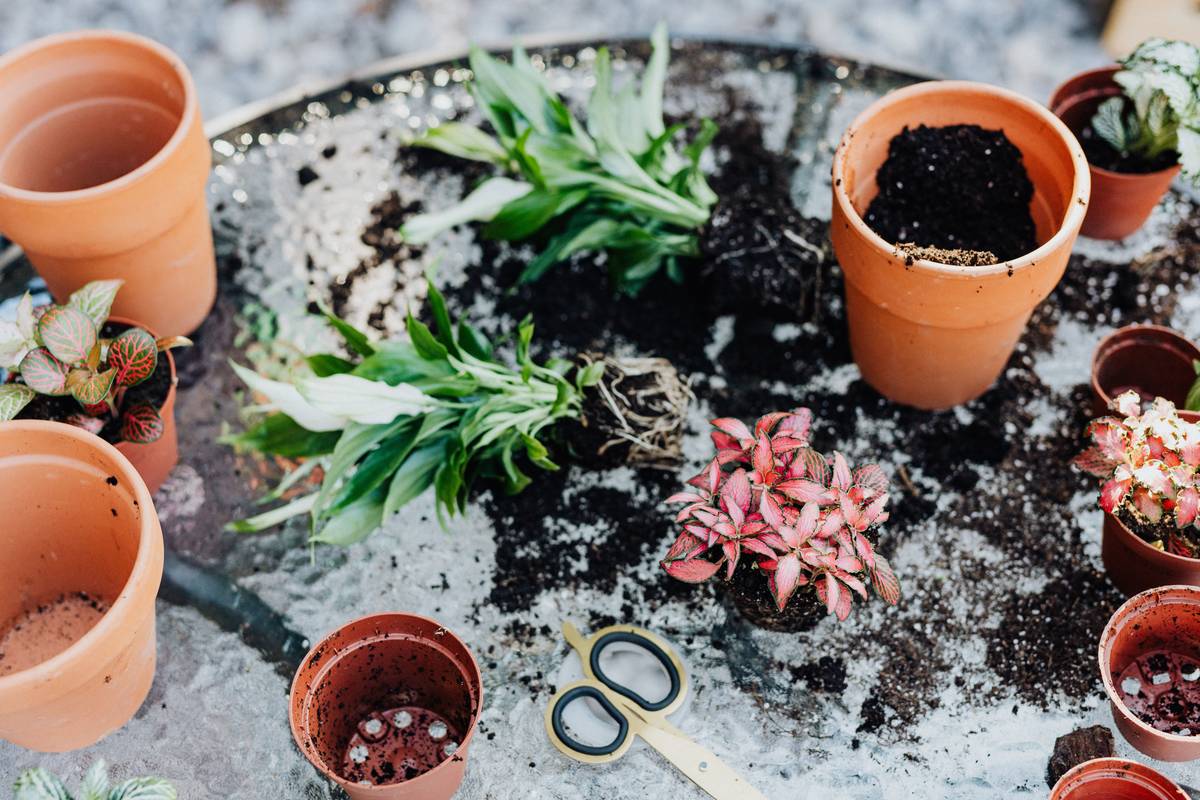 Fairy Garden Table Centerpiece Ideas: 7 Proven Ways to Create an Easy, Enchanting Focal Point